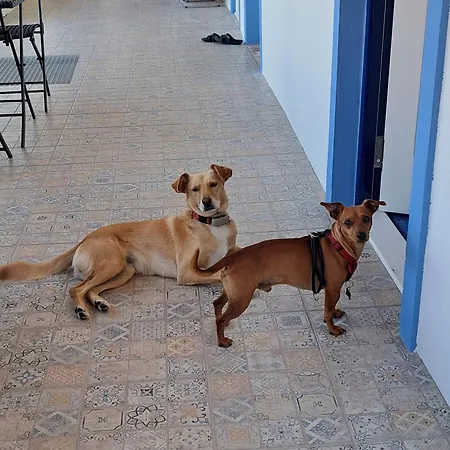 Casa Ciska Homestay Redinha