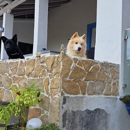Homestay Casa Ciska Redinha