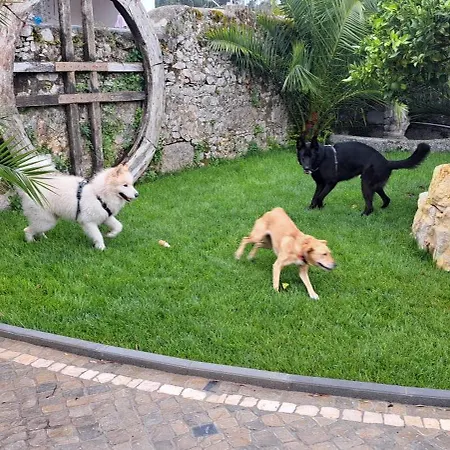 Casa Ciska * Redinha