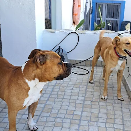 Casa Ciska Homestay Redinha