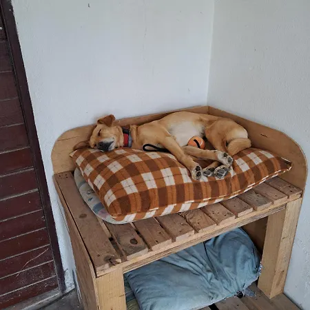 Casa Ciska منزل للإقامة