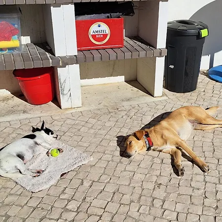 Casa Ciska منزل للإقامة