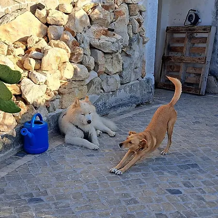 Casa Ciska *
