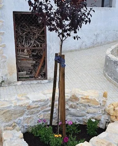 Casa Ciska Pansiyon *