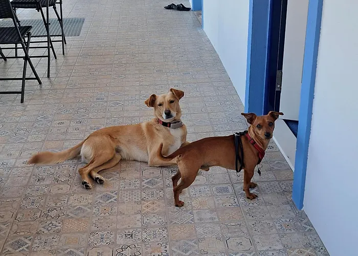 Casa Ciska Pansiyon Redinha