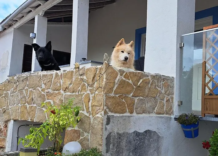 Pansiyon Casa Ciska Redinha