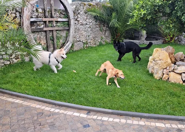 Casa Ciska * Redinha
