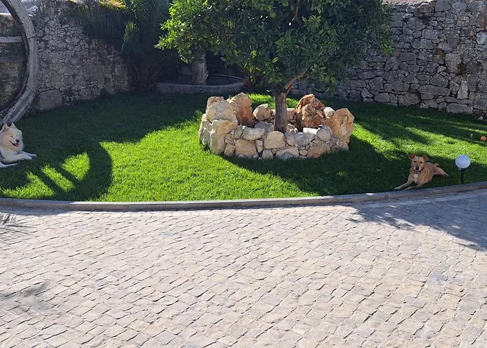 Pansiyon Casa Ciska