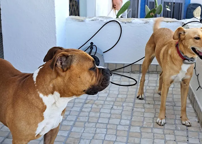 Casa Ciska Pansiyon Redinha
