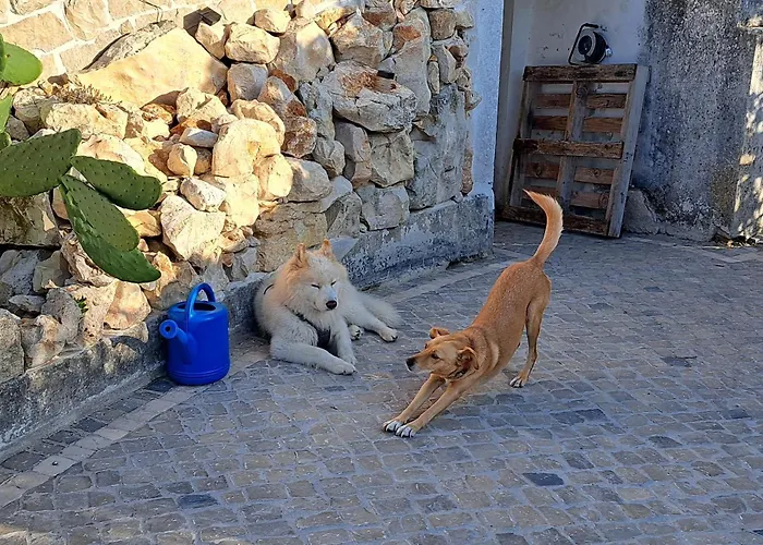 Casa Ciska *